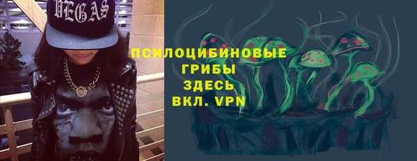 сатива Абинск