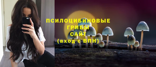 сатива Абинск