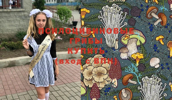 меф Абаза