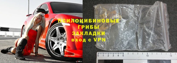 сатива Абинск